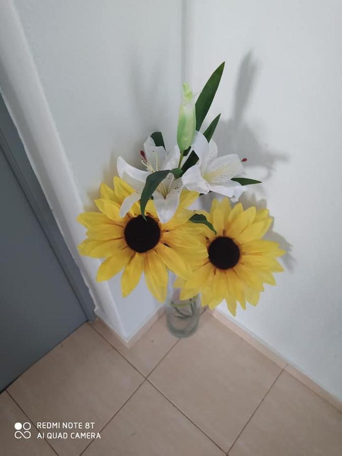 Casa Da Vila Villa Mexilhoeira Grande Екстериор снимка